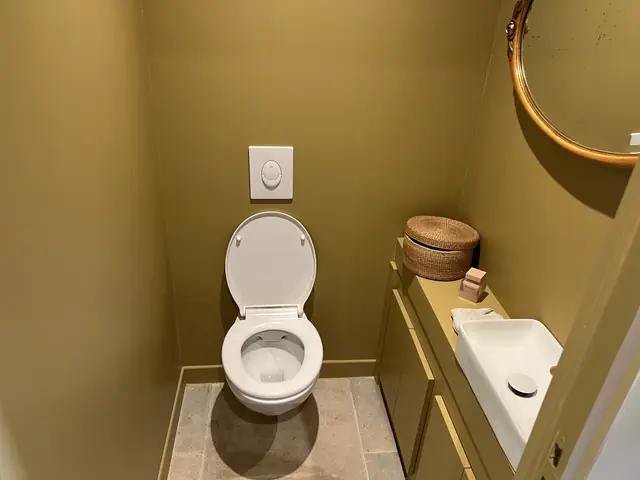 WC rénovés avec lave-mains